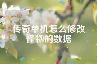 传奇单机怎么修改怪物的数据
