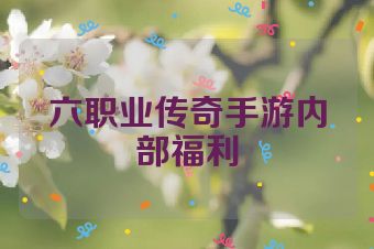 六职业传奇手游内部福利