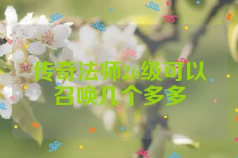 传奇法师26级可以召唤几个多多