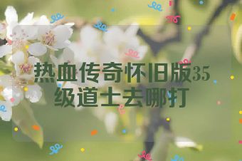 热血传奇怀旧版35级道士去哪打