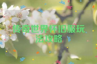 传奇世界怀旧服玩法攻略
