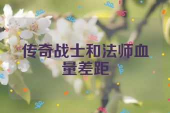 传奇战士和法师血量差距