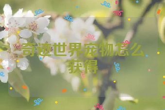 奇迹世界宠物怎么获得