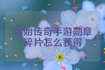 原始传奇手游勋章碎片怎么获得