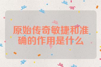 原始传奇敏捷和准确的作用是什么