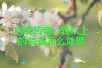 白蛇传奇11转以上的装备怎么处理