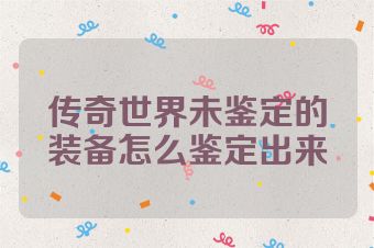 传奇世界未鉴定的装备怎么鉴定出来