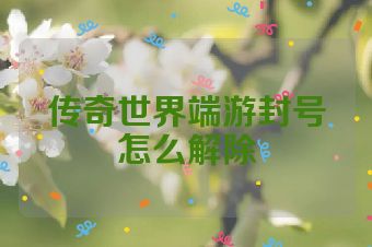 传奇世界端游封号怎么解除