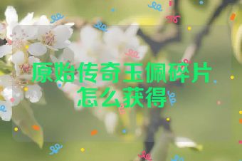 原始传奇玉佩碎片怎么获得