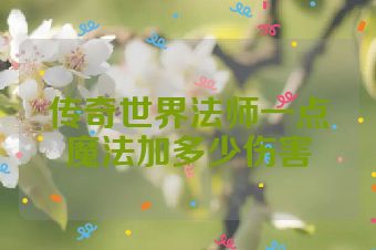 传奇世界法师一点魔法加多少伤害