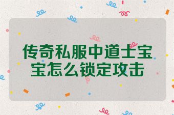 传奇私服中道士宝宝怎么锁定攻击
