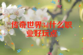 传奇世界3d什么职业好玩点