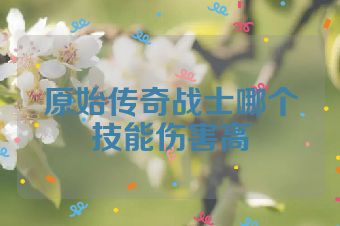 原始传奇战士哪个技能伤害高