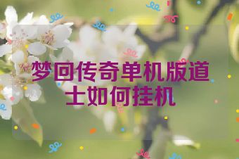 梦回传奇单机版道士如何挂机