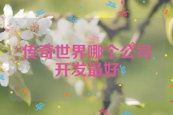 传奇世界哪个公司开发最好