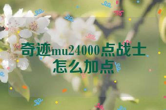 奇迹mu24000点战士怎么加点