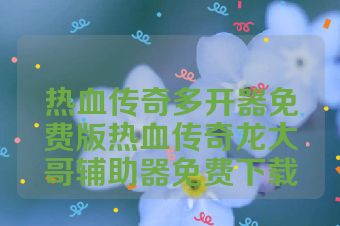 热血传奇多开器免费版热血传奇龙大哥辅助器免费下载