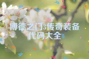 博德之门3传奇装备代码大全