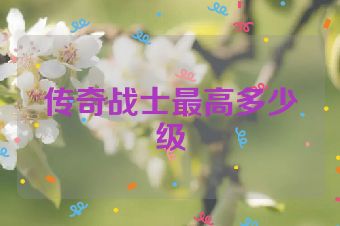 传奇战士最高多少级