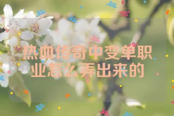 热血传奇中变单职业怎么弄出来的