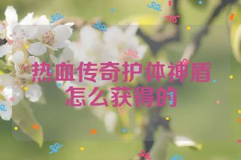 热血传奇护体神盾怎么获得的