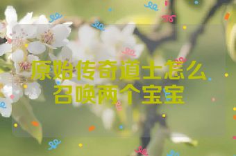原始传奇道士怎么召唤两个宝宝
