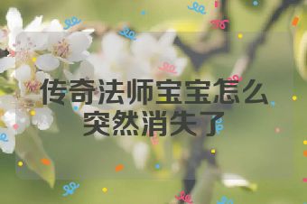 传奇法师宝宝怎么突然消失了