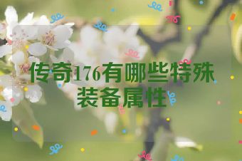 传奇176有哪些特殊装备属性