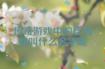 传奇游戏中的怪物都叫什么名字呢