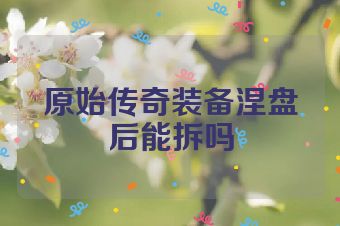 原始传奇装备涅盘后能拆吗