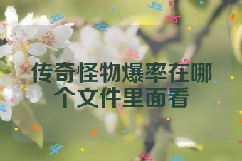 传奇怪物爆率在哪个文件里面看