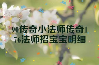 90传奇小法师传奇176法师招宝宝明细