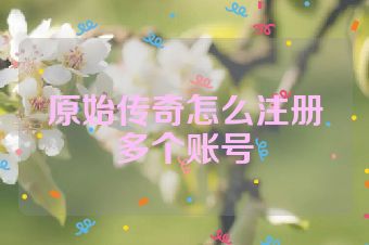 原始传奇怎么注册多个账号