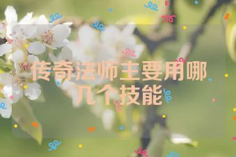 传奇法师主要用哪几个技能
