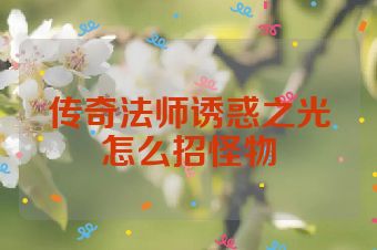 传奇法师诱惑之光怎么招怪物