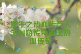 重生之热血传奇人生网游传奇重生热血传奇