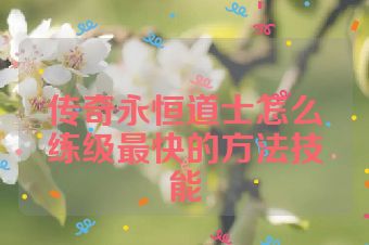 传奇永恒道士怎么练级最快的方法技能