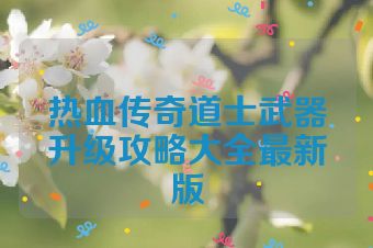 热血传奇道士武器升级攻略大全最新版