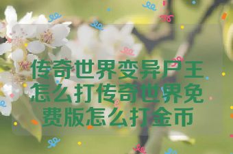 传奇世界变异尸王怎么打传奇世界免费版怎么打金币