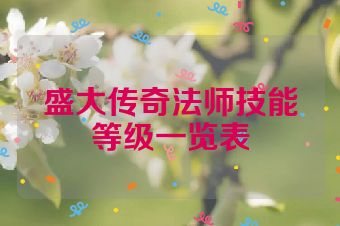 盛大传奇法师技能等级一览表
