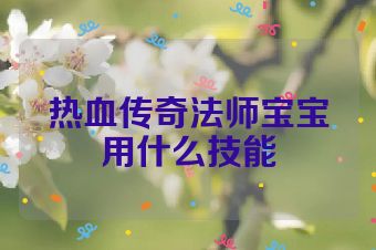 热血传奇法师宝宝用什么技能
