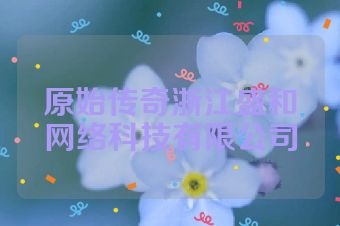 原始传奇浙江盛和网络科技有限公司