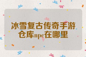 冰雪复古传奇手游仓库npc在哪里