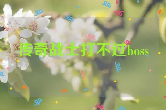 传奇战士打不过boss