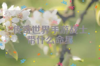 传奇世界手游战士带什么命星