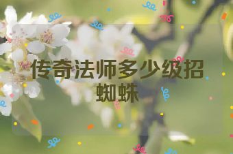 传奇法师多少级招蜘蛛