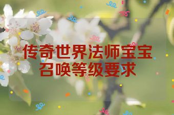 传奇世界法师宝宝召唤等级要求