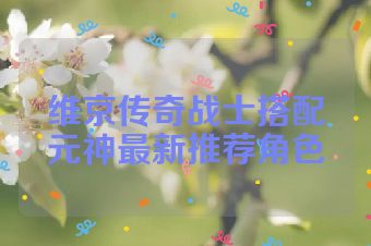 维京传奇战士搭配元神最新推荐角色