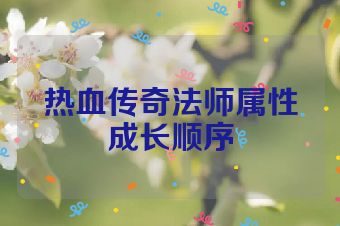 热血传奇法师属性成长顺序