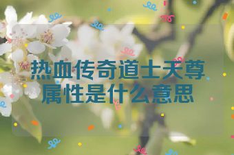 热血传奇道士天尊属性是什么意思